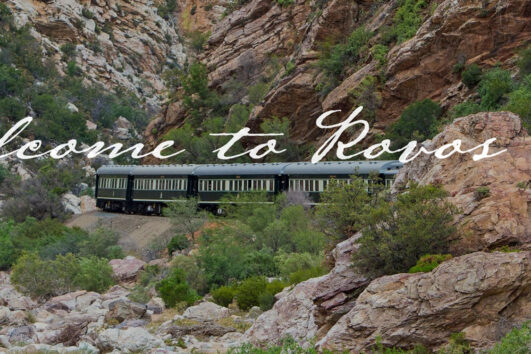 A train is traveling through the mountains on it's tracks.