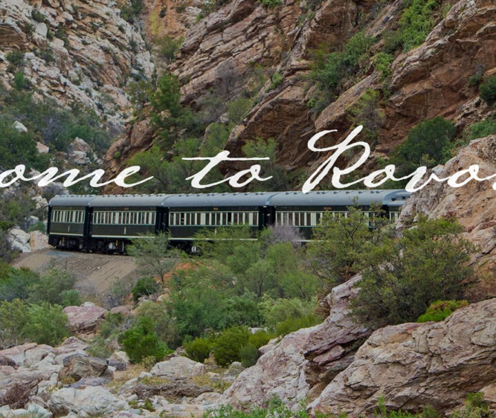 A train is traveling through the mountains on it's tracks.