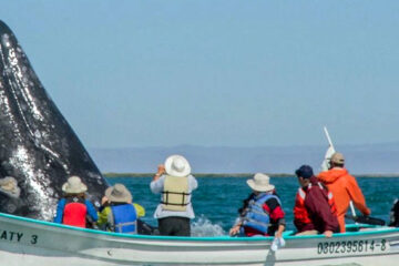 A group of people in a boat on the water.
