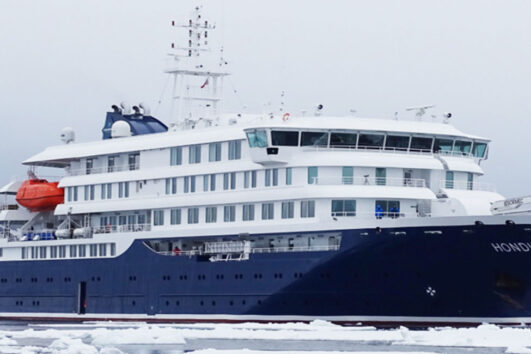 In the Realm of the Polar Bear on MS Hondius